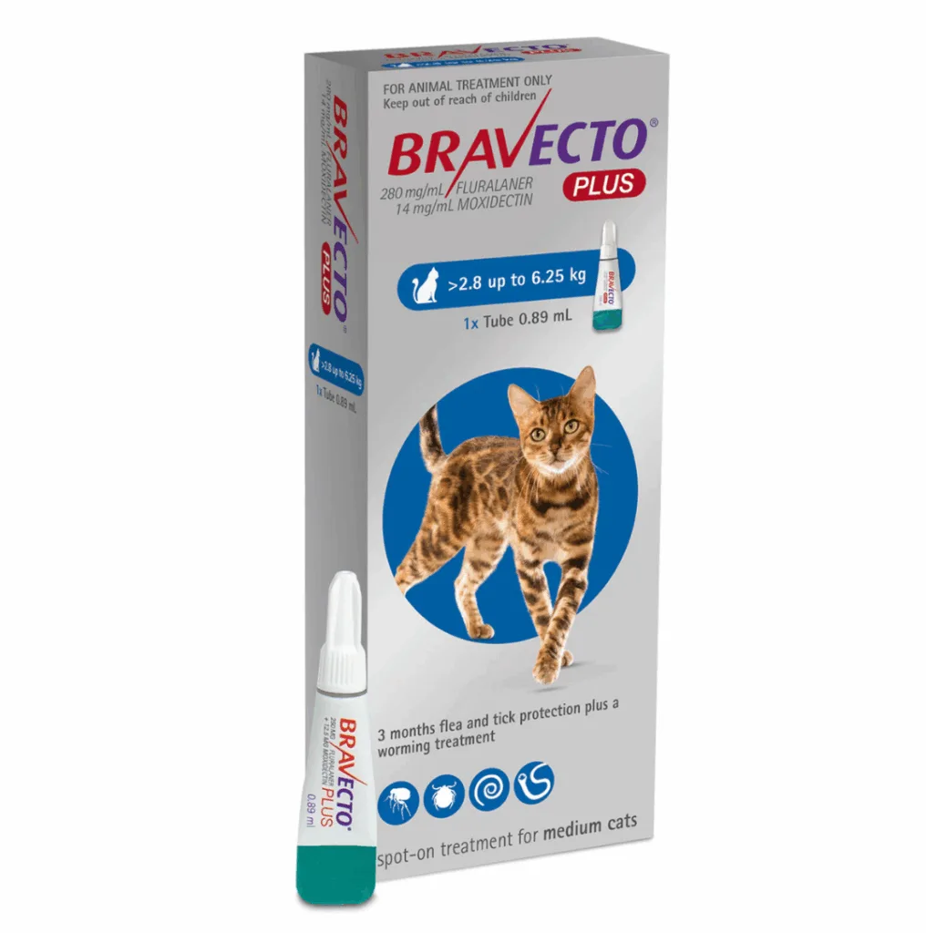 Bravecto® Plus Spot-On for Cats (2.8–6.25 kg)